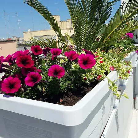Attico Con Terrazza A Apartament Bari