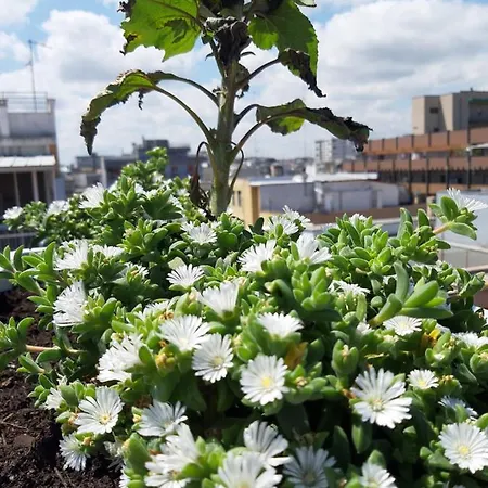 Apartament Attico Con Terrazza A Bari